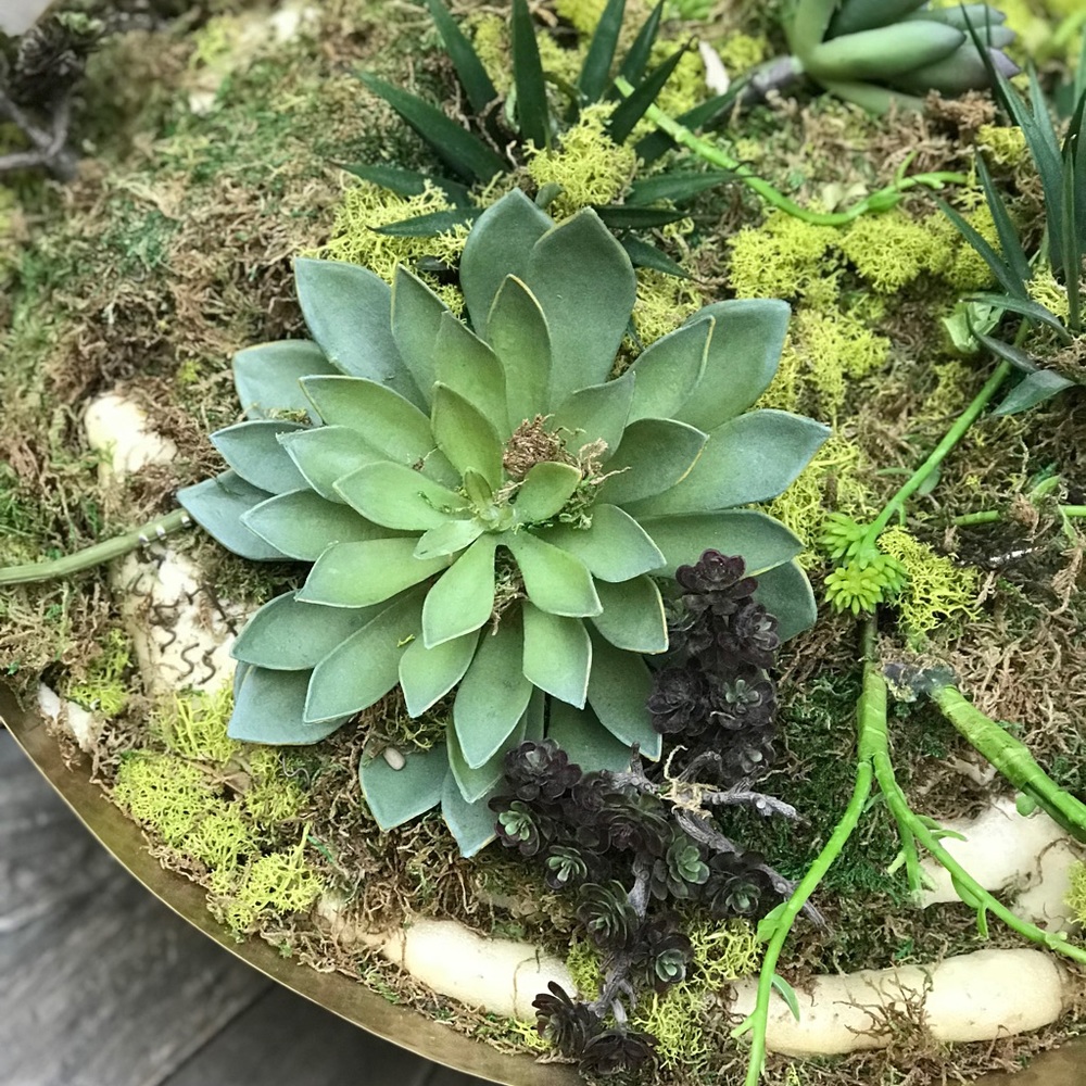 Meet your Posher, dweeb101.